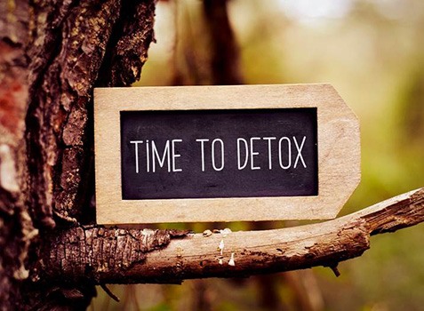 Sign propped up on tree branch — 'time to detox'