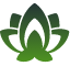 Animated lotus flower icon